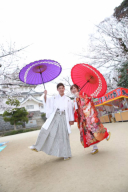 桜キャンペーンの申し込み期限もうすぐです！