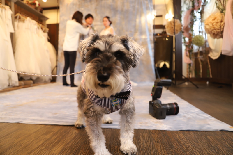 ペットと一緒に☆