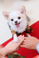 大事なぺっとちゃんとも撮影できます♡