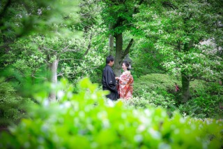 大人気！緑いっぱいの撮影！