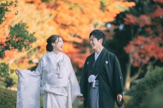 最大約62%OFF!秋のドリームキャンペーン開催!