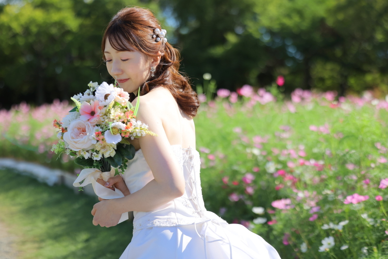 一面のコスモスに囲まれて❁