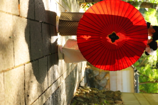 カメラ目線だけじゃ無い! 横顔・後姿も撮りますよ!