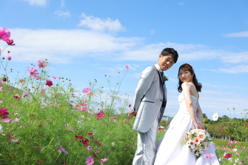 一面のコスモスに囲まれて❁