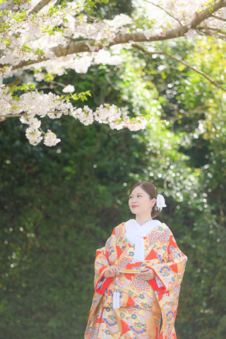 春ロケーションを彩る色打掛のご紹介