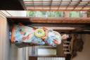 夏に着たい色打掛のご紹介