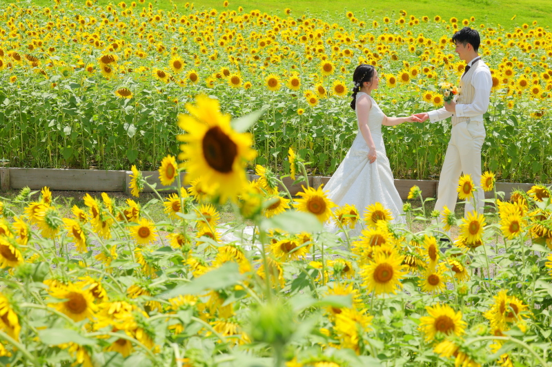 青空とひまわりに囲まれた夏らしい一枚を♡