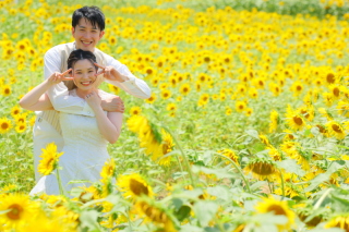 青空とひまわりに囲まれた夏らしい一枚を♡