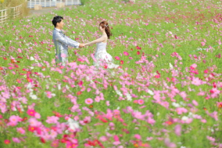 一面のコスモスに囲まれて❁