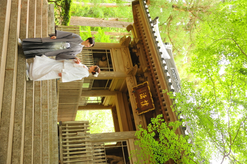 龍潭寺で日本の伝統を感じる一枚を❁