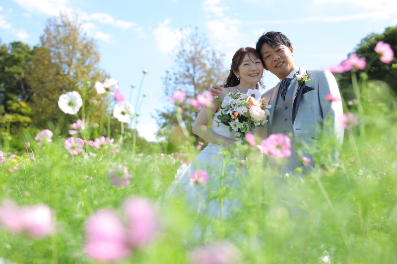 一面のコスモスに囲まれて❁