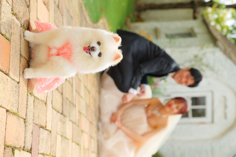 大切なペットと残すお写真♡