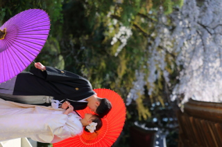 和傘を使った和装ウェディングフォト