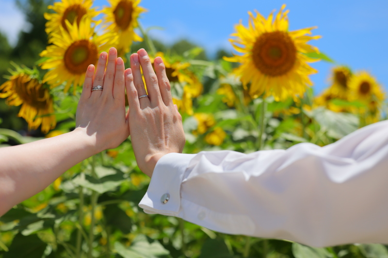 青空とひまわりに囲まれた夏らしい一枚を♡