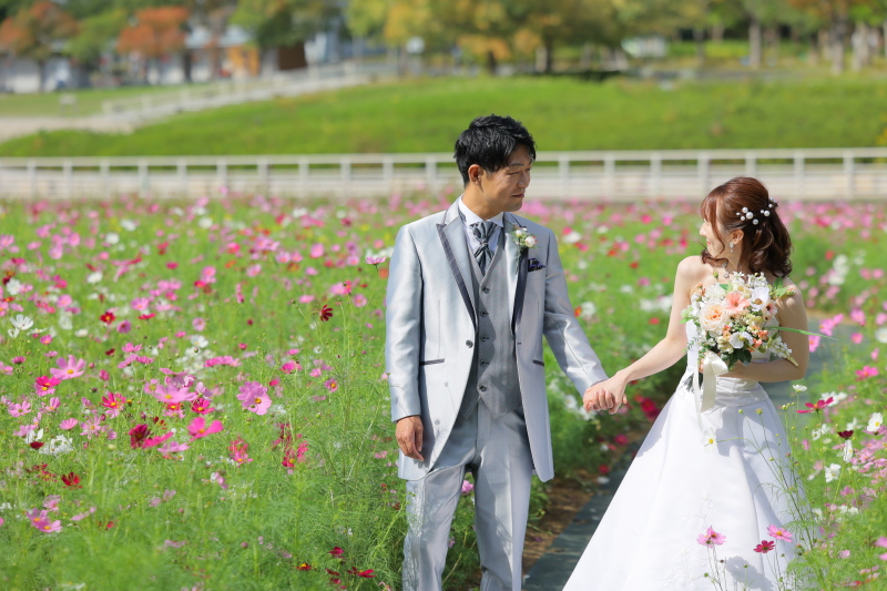 一面のコスモスに囲まれて❁