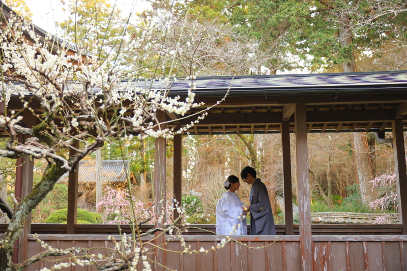 龍潭寺で日本の伝統を感じる一枚を❁