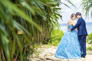 ＊＊＊お客様からの嬉しい生のお声＊＊