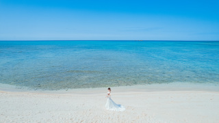 ☆豊富な撮影スポットが人気の理由☆