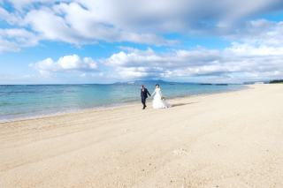 ＊選べるオプション ～サポートスタッフ～＊