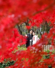 新年あけましておめでとうございます。今年も洛笑庵／スマイルハンターをよろしく