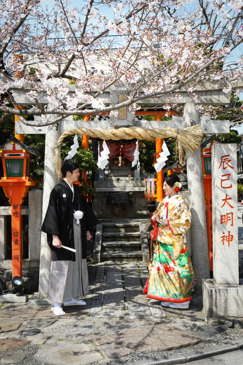 京都の開花予想　市内3月25日・嵐山3月30日　満開はその後7日後！　