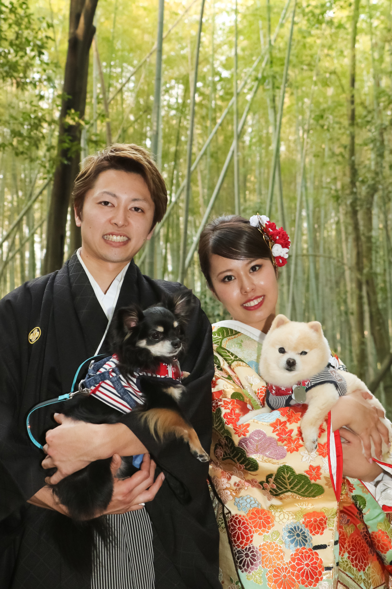 ペットと前撮り撮影〜絶賛受付中！