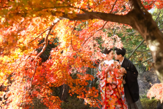 12月3日(土)、4日(日)は限定特典あり!町家スタジオ+紅葉の名所撮影のプラン