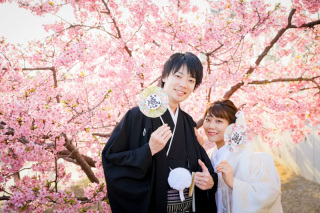 2024年 桜ロケーション撮影、絶賛受付中!!!