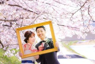 春桜の前撮予約 絶賛受付中!