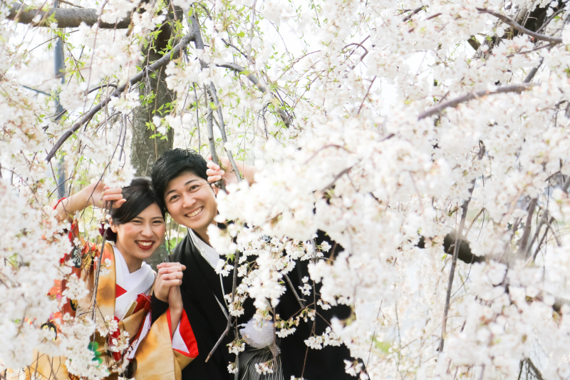 京都の桜ロケ、４月４,５日の土日も狙い目！　空き情報のお知らせ〜！