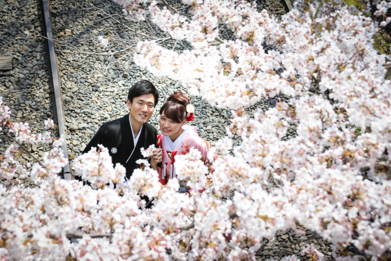 京都の開花予想　市内3月25日・嵐山3月30日　満開はその後7日後！　