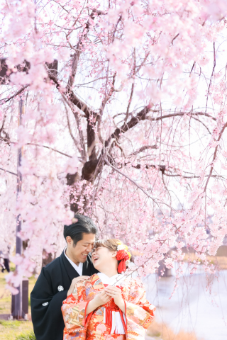 春桜の前撮予約 絶賛受付中! 今日の京都は、晴れ!