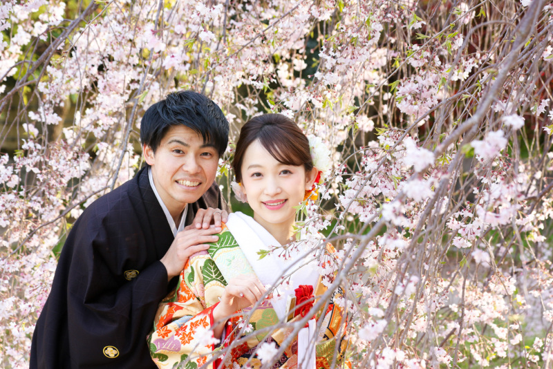 春・桜の前撮予約 絶賛受付中！