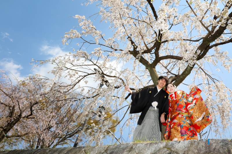 京都の桜ロケ、４月４,５日の土日も狙い目！　空き情報のお知らせ〜！