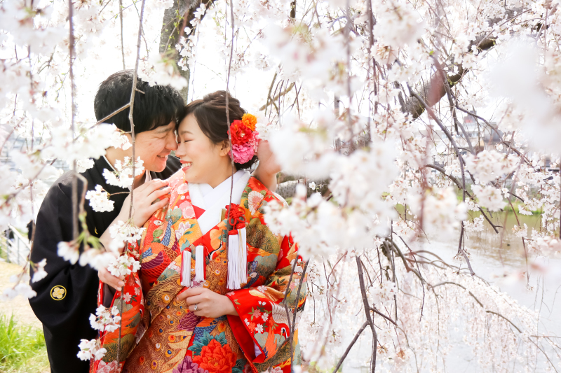 京都・桜ロケーションフォトの受付開始。京都で桜の時期のロケ撮影をお考えの方必見！