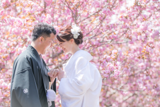 １月末までに撮影のご予約をするとシーズンアップ料金が0円！！