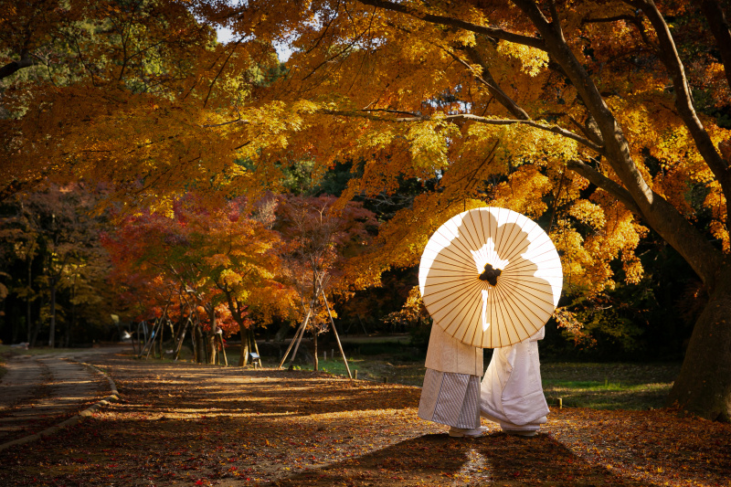 番傘シルエット