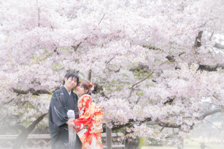 ＜限定１組様＞4/10桜ロケフォト♡