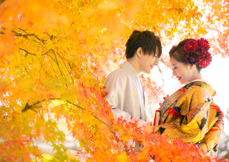 大人気秋ロケ抽選会！！！！応募始まりましたよ〜