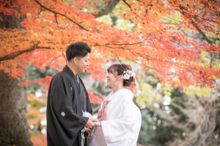 紅葉ロケ空き状況