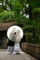 新緑ロケキャンペーン