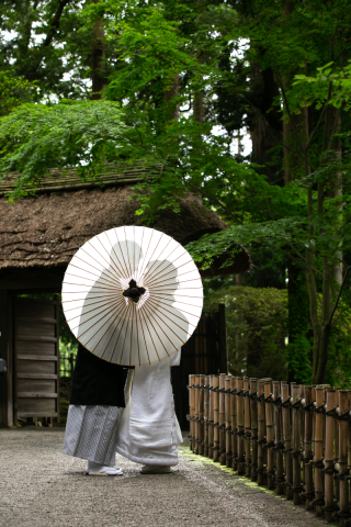 新緑ロケキャンペーン