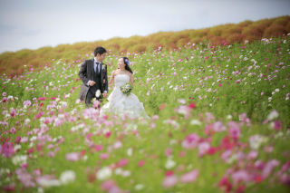 ひたち海浜公園コスモス