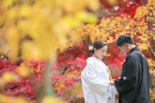秋ロケ最終空き状況!!