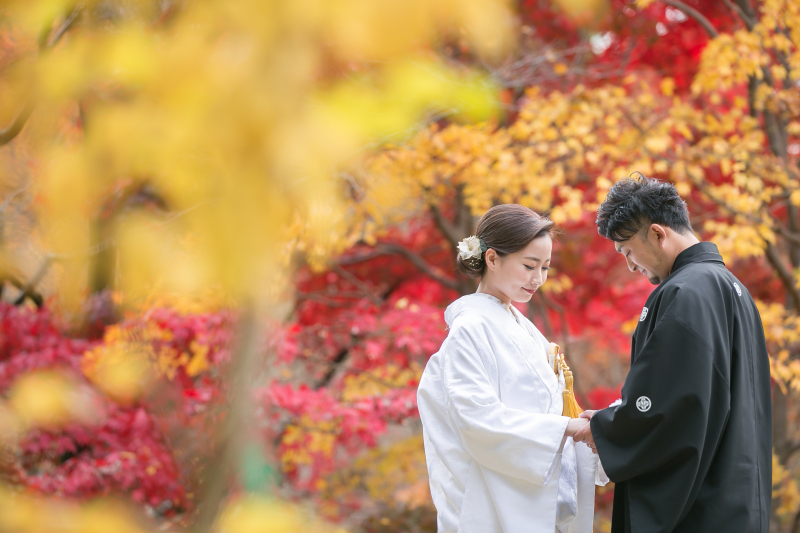 秋ロケ最終空き状況!!