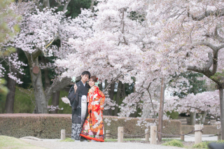 桜ロケ空き状況