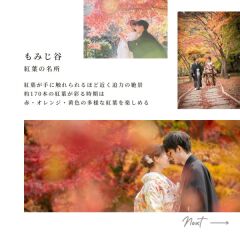 2023オススメ紅葉ロケスポット