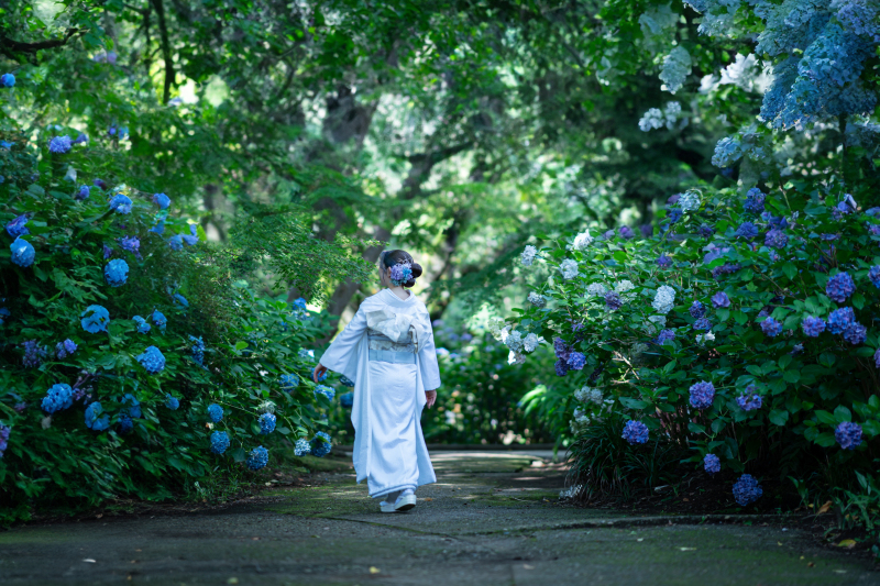夏季休業のお知らせ