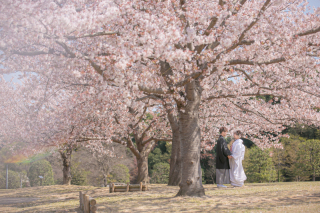＜1/31まで！！＞春のロケーションキャンペーン