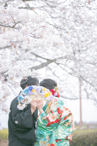 2/11最新＜桜ロケ空き状況＞